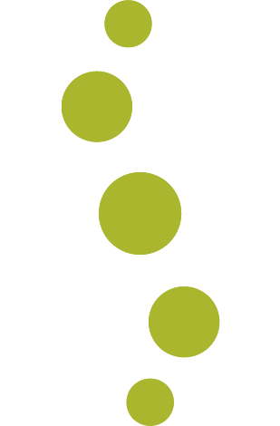 Fisioterapia-Origen